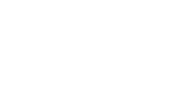 jv ! je fais mon PROPRE DIAGNOSTIC POUR DEFINIR mes VULN RABILIT S !